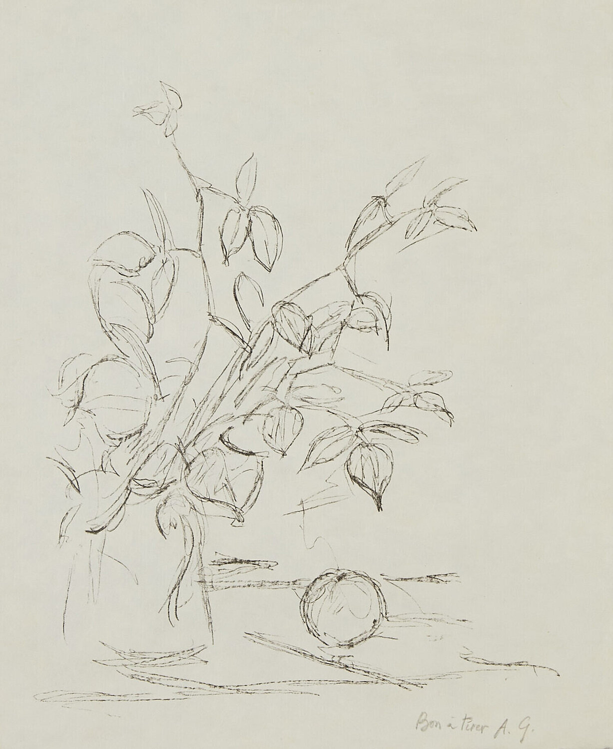 Pomme endormie, bouquet et pomme Alberto Giacometti Druck zu verkaufen