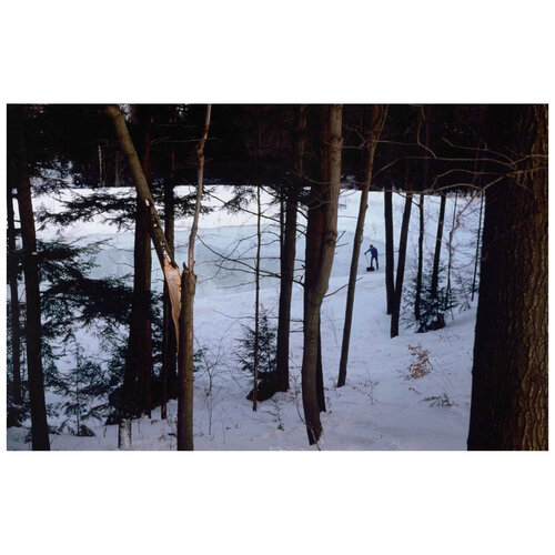 Ice Rink van Peter Doig, Fotografie te koop op Singulart