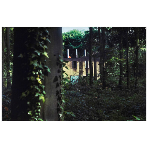 Through the Woods van Peter Doig, Fotografie te koop op Singulart