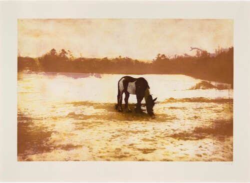 Pinto, from: 100 Years ago van Peter Doig, Afdruk te koop op Singulart