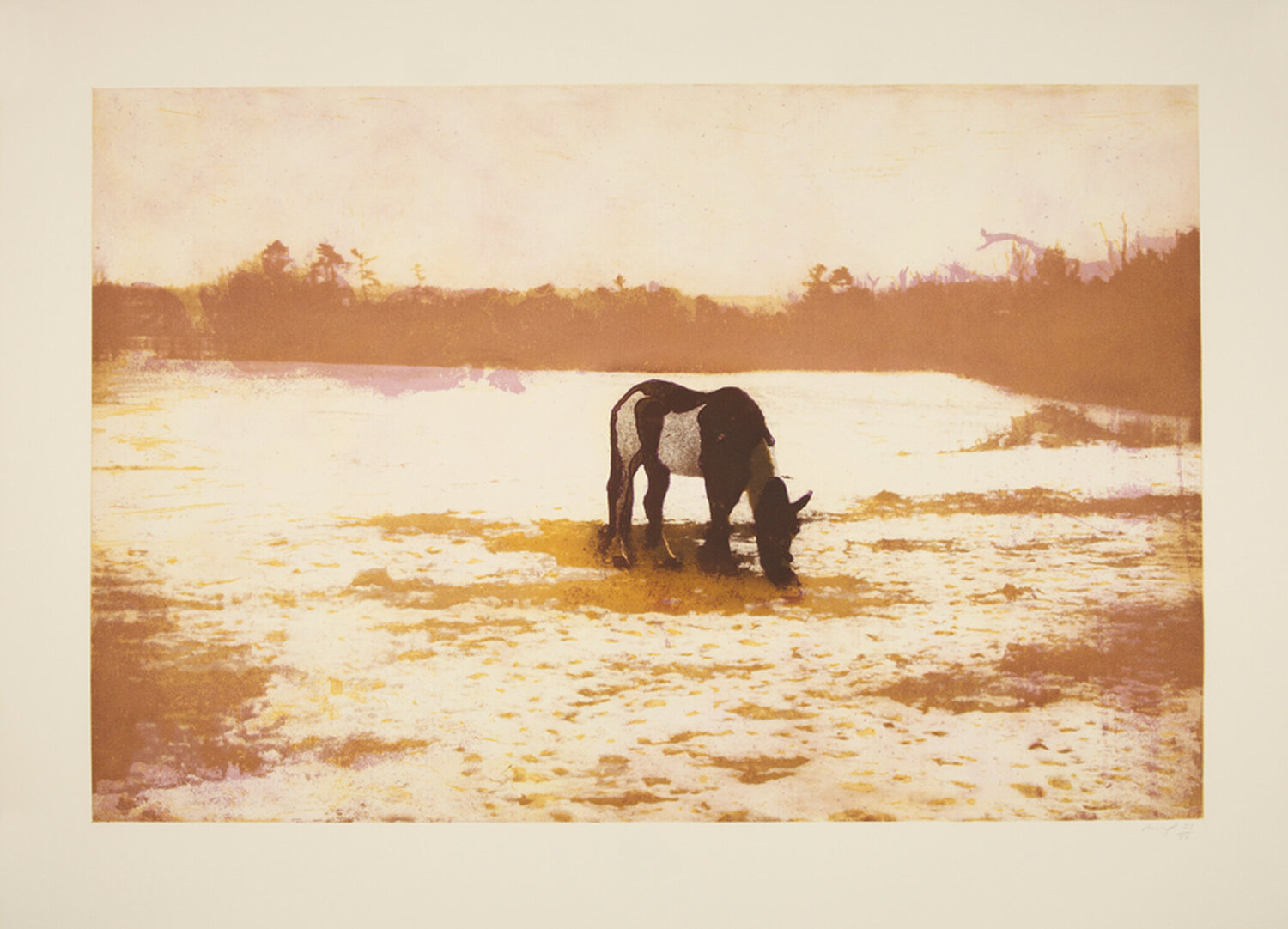 Pinto Peter Doig Afdruk te koop