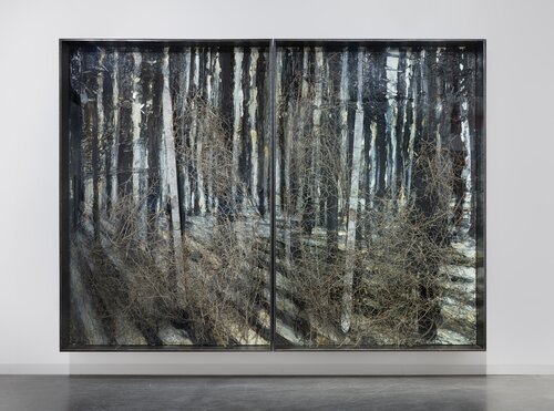 Steigend steigend sinke nieder by Anselm Kiefer, Other Media for Sale on Singulart
