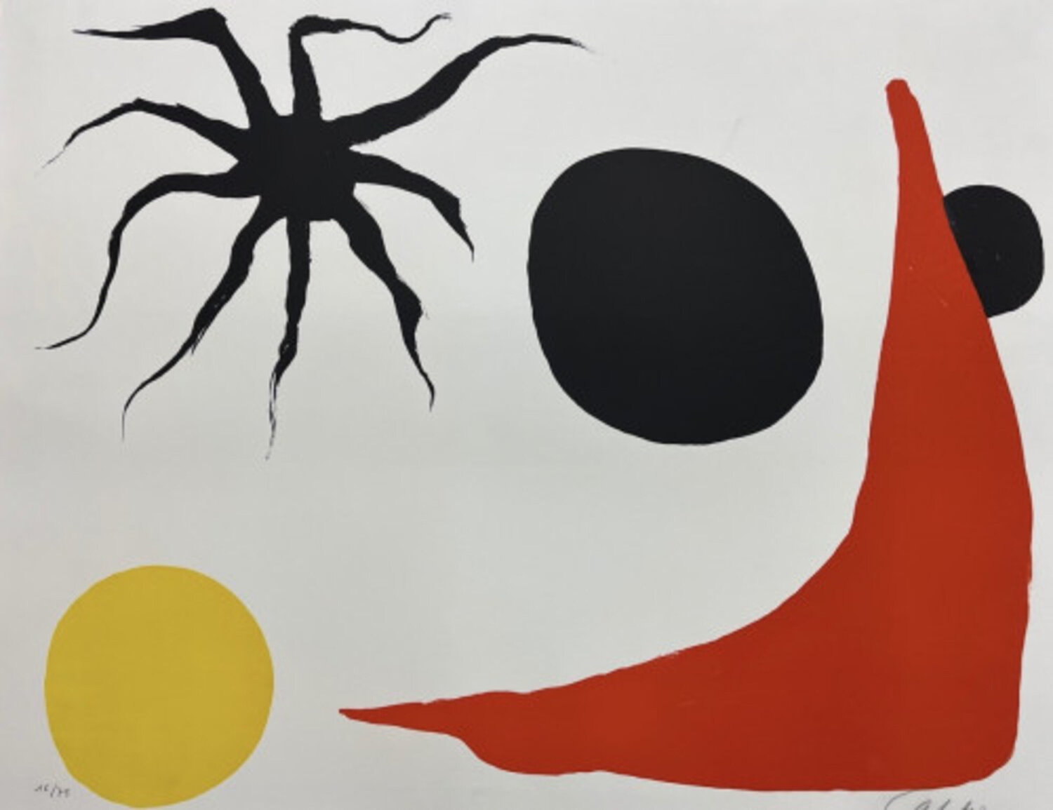 Chaussette Rouge Alexander Calder