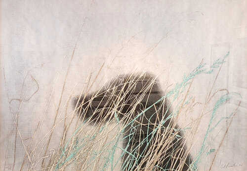 DOG di Ed Ruscha, Stampa in vendita su Singulart