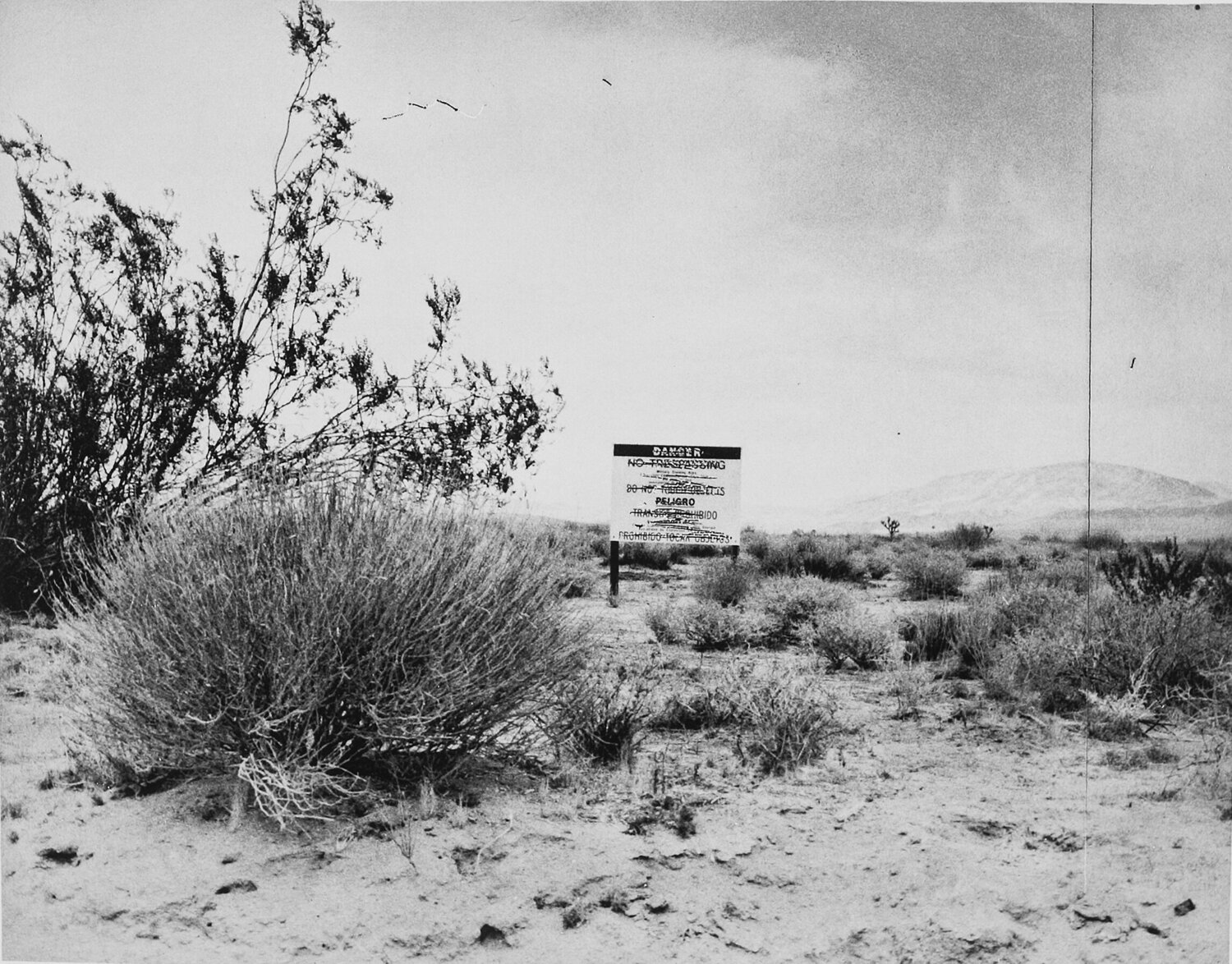Desert Gravure Ed Ruscha Afdruk te koop