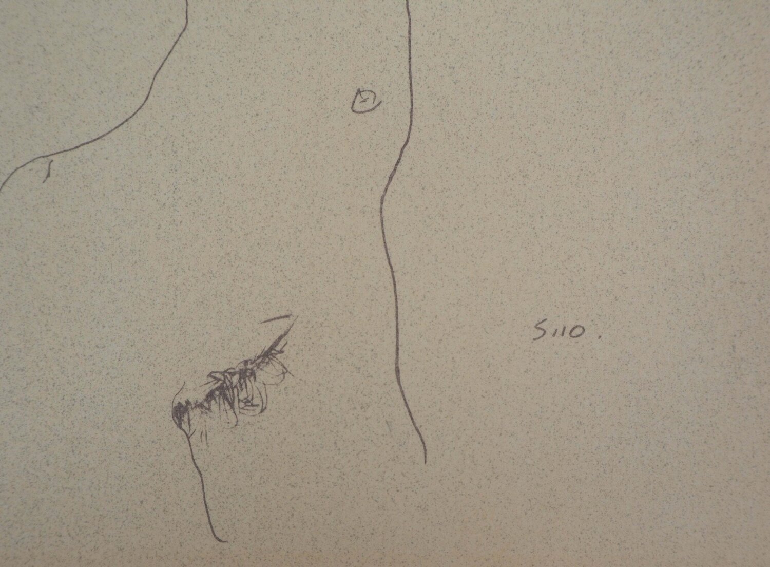 Nu s'étirant Egon Schiele