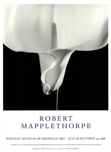 Robert Mapplethorpe, Call Lilly, Whitney Musuem of American Art Poster, FREE DOMESTIC SHIPPING van Robert Mapplethorpe, Afdruk te koop op Singulart