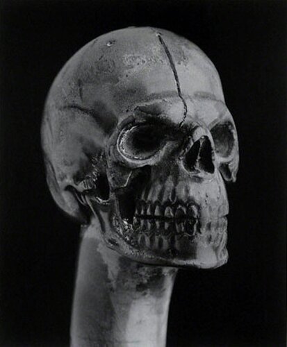 Skull walking cane van Robert Mapplethorpe, Fotografie te koop op Singulart