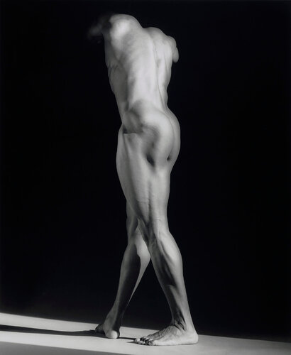 Michael Reed van Robert Mapplethorpe, Fotografie te koop op Singulart