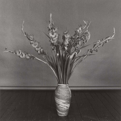 Gladioli van Robert Mapplethorpe, Fotografie te koop op Singulart