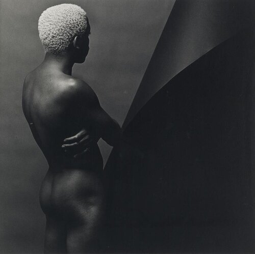 Leigh Lee van Robert Mapplethorpe, Fotografie te koop op Singulart