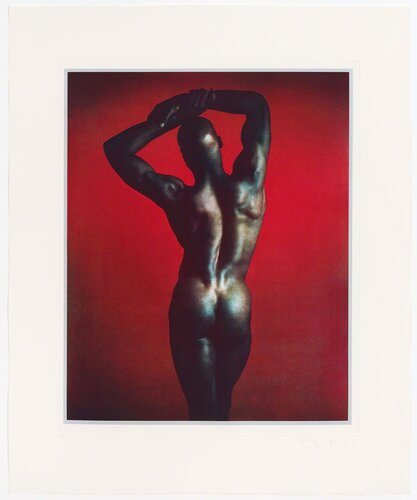 Untitled #1 from the Ken Moody Portfolio van Robert Mapplethorpe, Afdruk te koop op Singulart