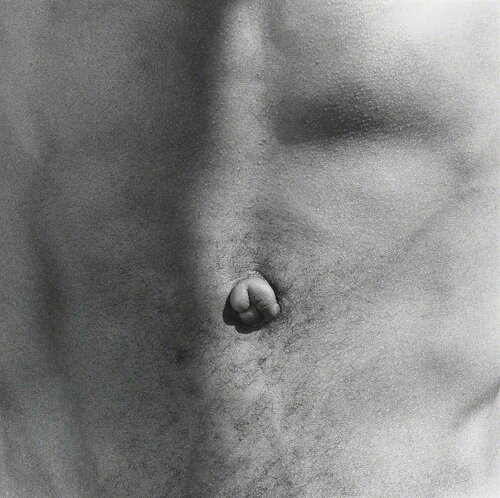 Belly Button van Robert Mapplethorpe, Fotografie te koop op Singulart