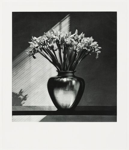 Irises van Robert Mapplethorpe, Afdruk te koop op Singulart