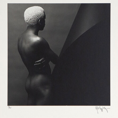 Leigh Lee / Z Portfolio van Robert Mapplethorpe, Fotografie te koop op Singulart
