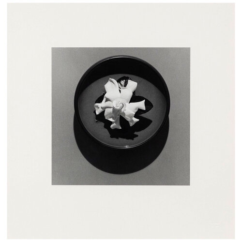 Gardenia van Robert Mapplethorpe, Fotografie te koop op Singulart