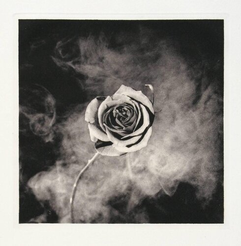 Untitled III from A Season in Hell di Robert Mapplethorpe, Stampa in vendita su Singulart