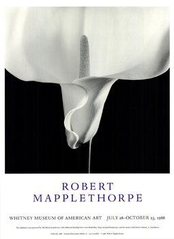 アート・デザイン・音楽 MAPPLETHORPE Robert Mapplethorpe Robert Mapplethorpe Art for Sale on SINGULART