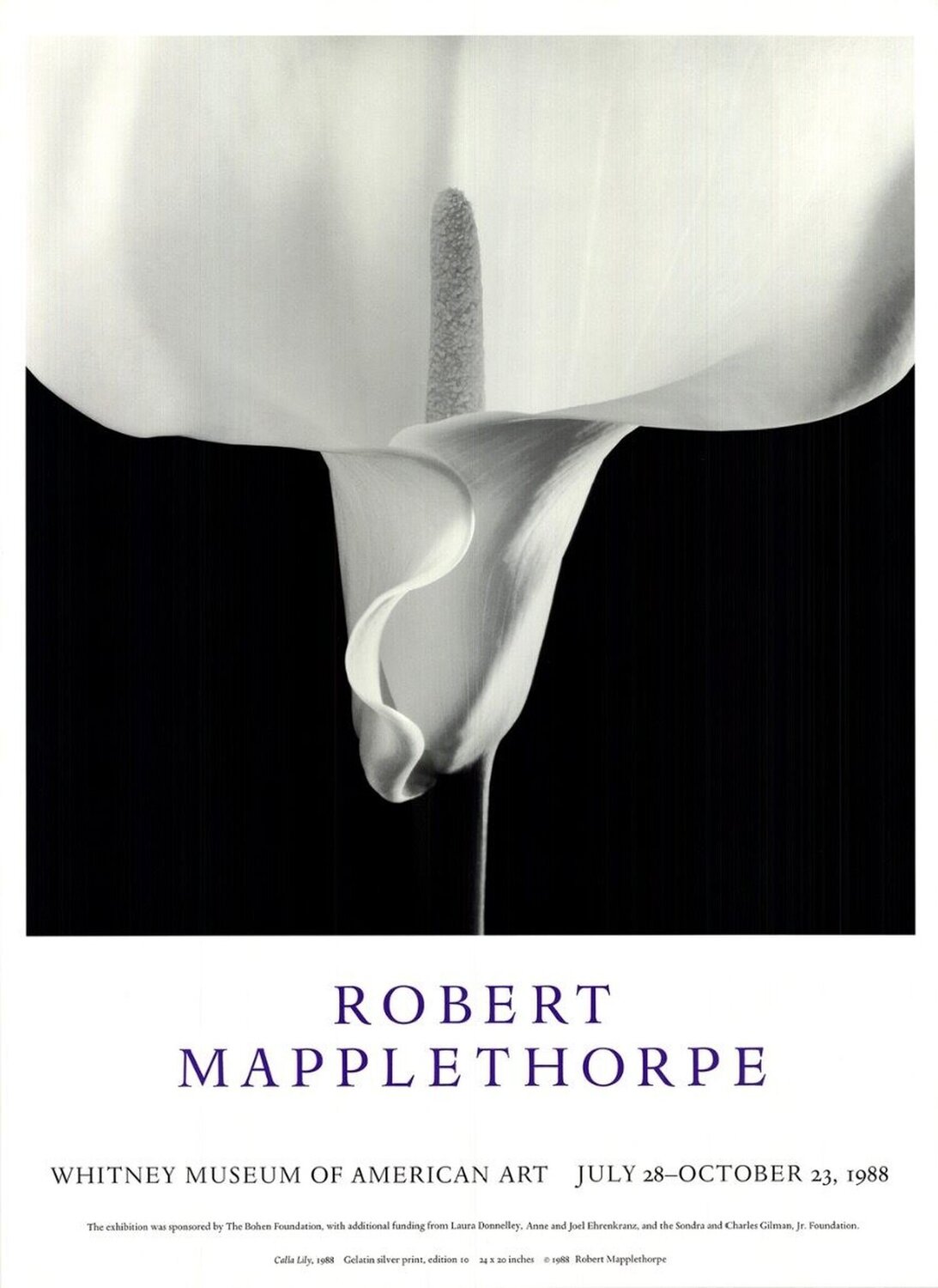 Robert Mapplethorpe, Cal… by Robert Mapplethorpe – SINGULART