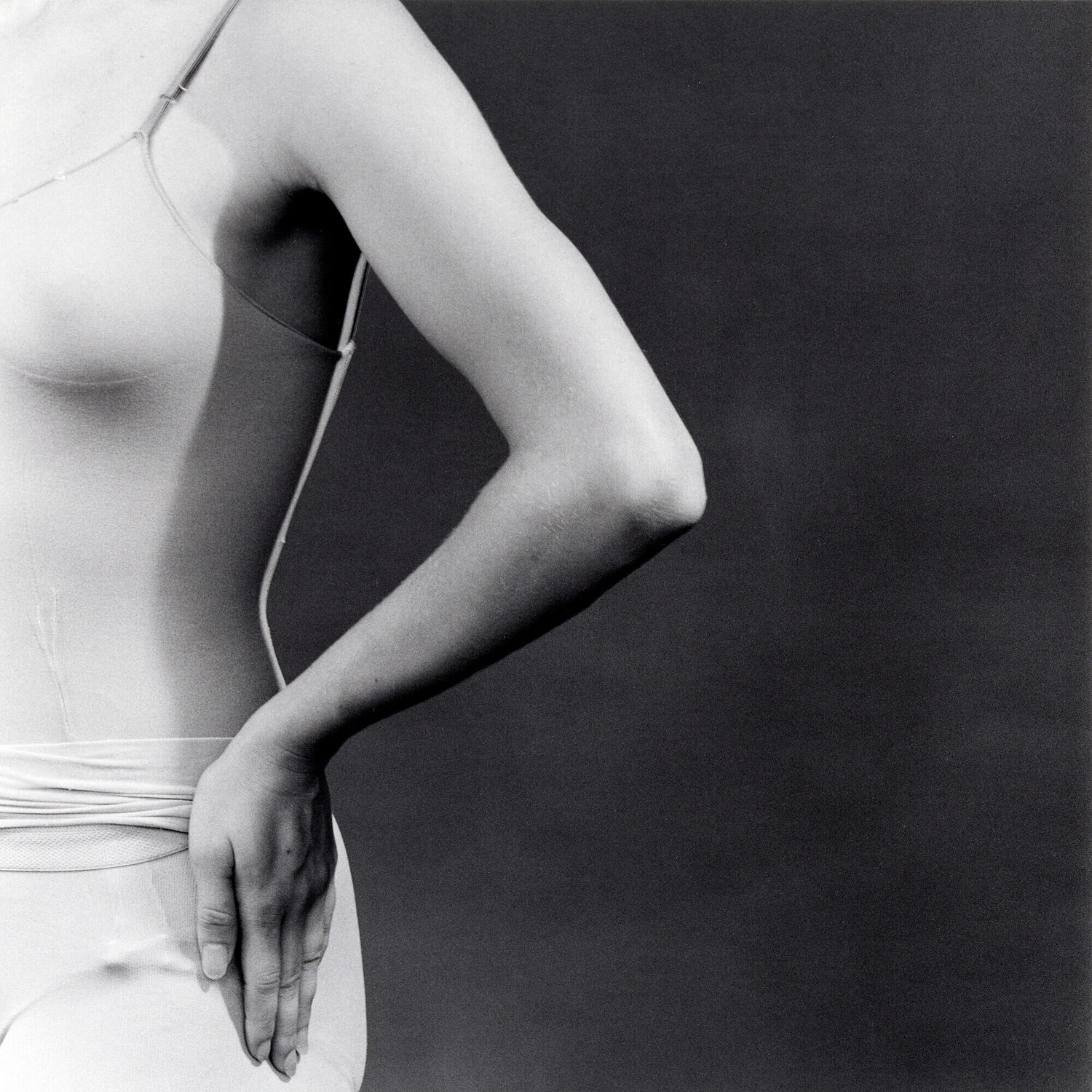 NYC Contemporary Robert Mapplethorpe