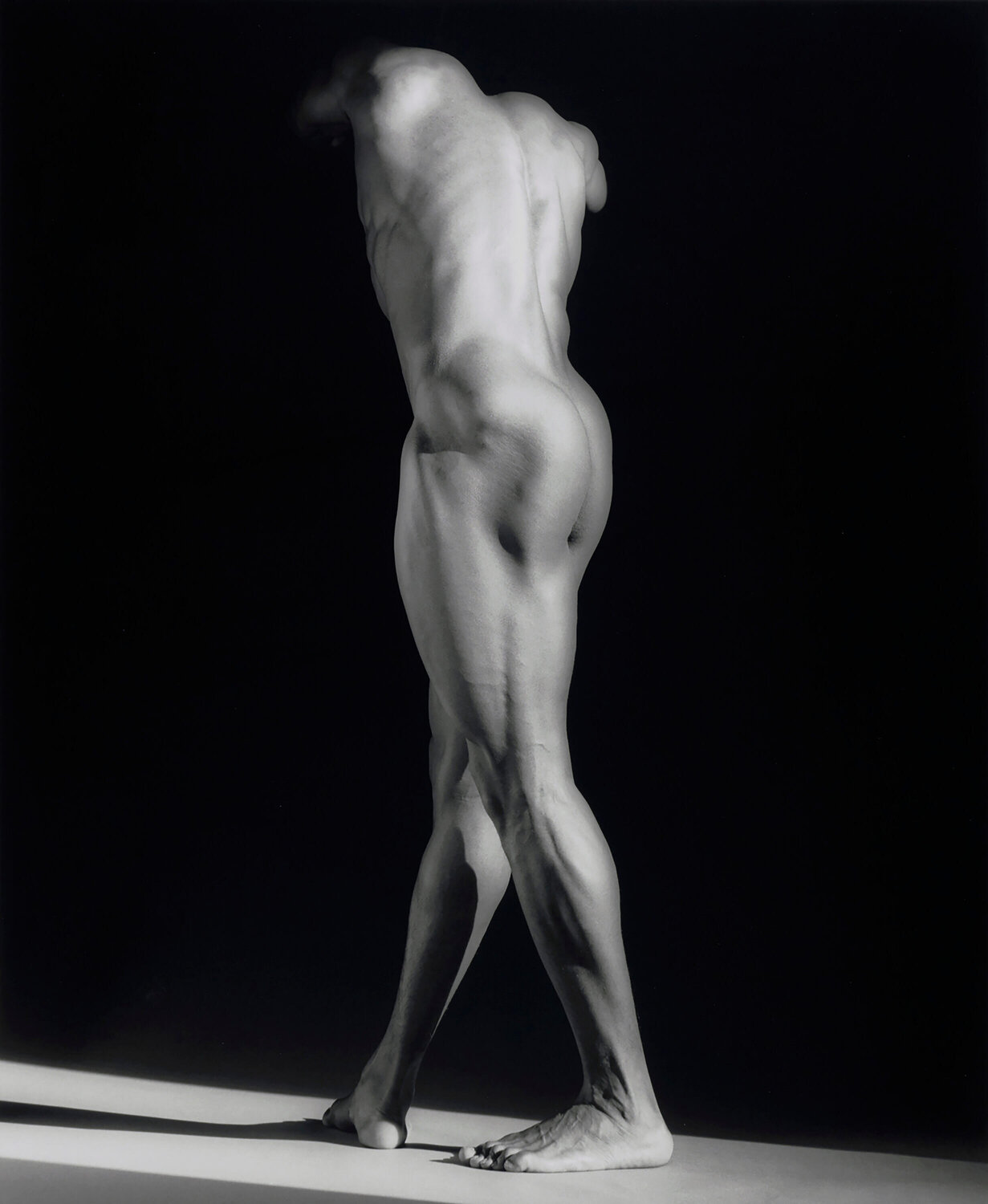 Michael Reed Robert Mapplethorpe