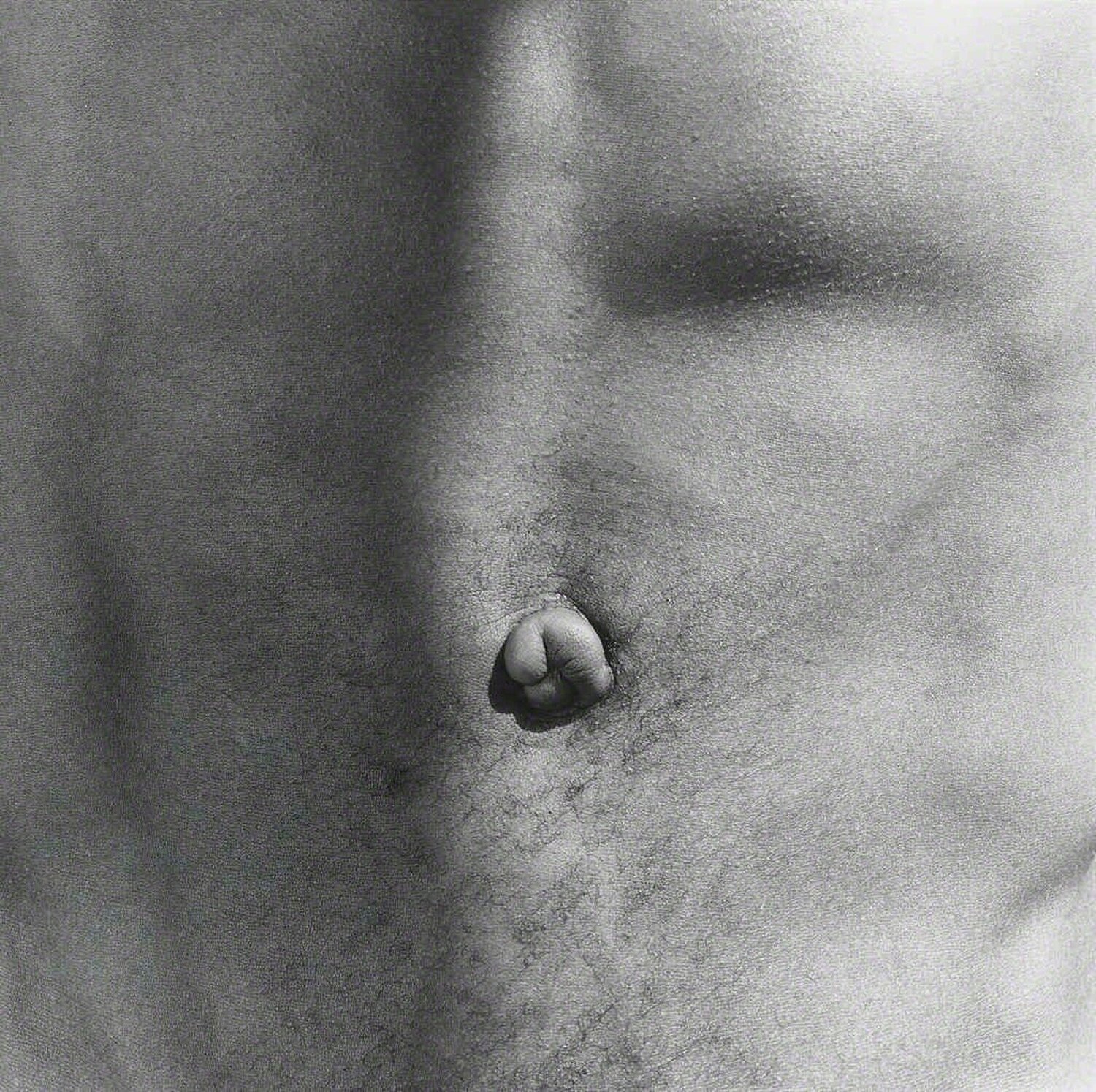 Belly Button Robert Mapplethorpe