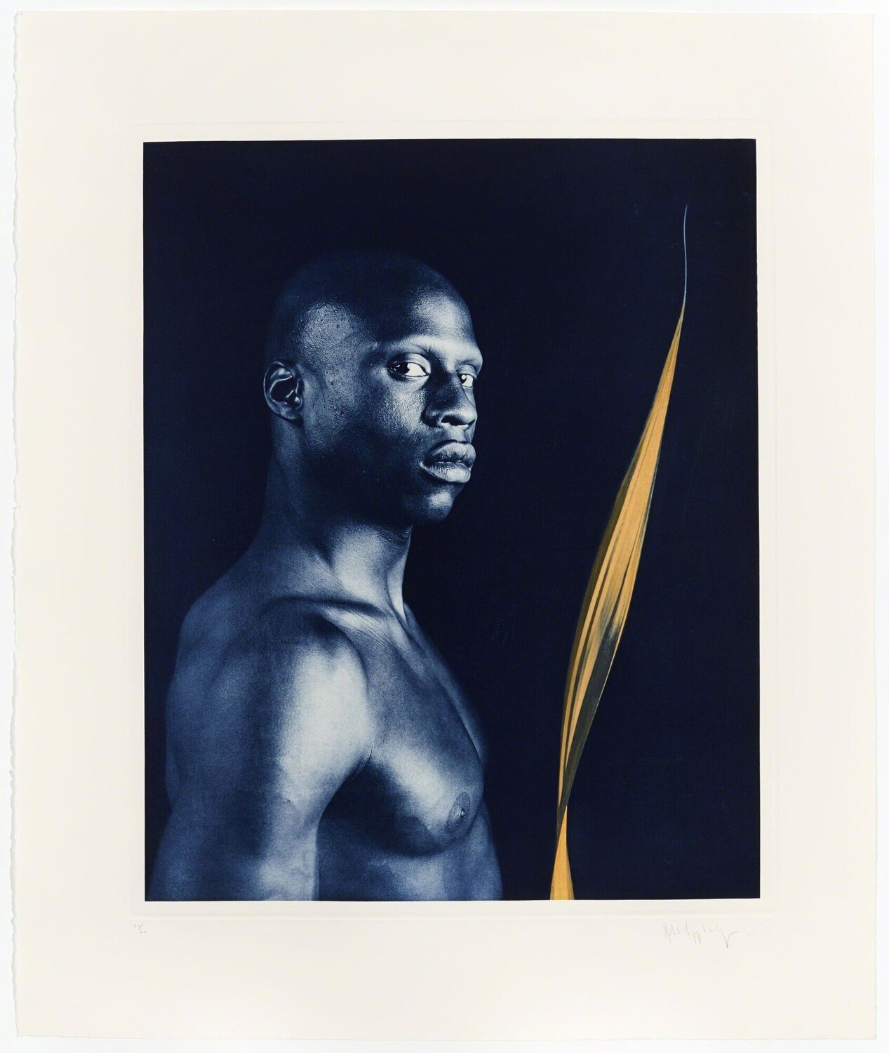 Untitled #4 from the Ken Moody Portfolio Robert Mapplethorpe