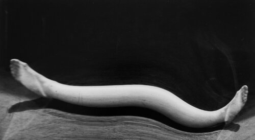 Distortion #46 by André Kertész, Photography for Sale on Singulart