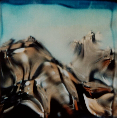 January par André Kertész, Photographie en vente sur Singulart