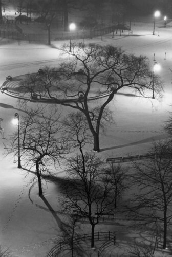 Washington Square Park at Night par André Kertész, Photographie en vente sur Singulart