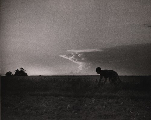 Pontoise par André Kertész, Photographie en vente sur Singulart