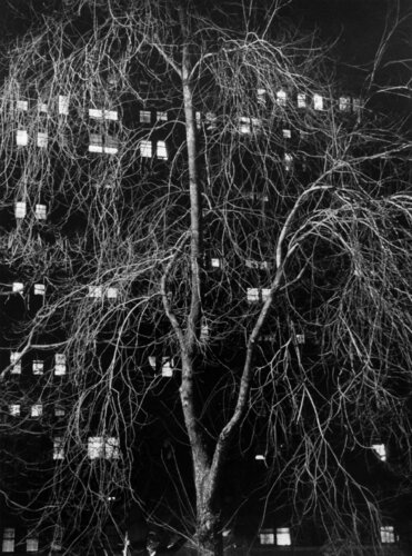 New York, Washington Square par André Kertész, Photographie en vente sur Singulart