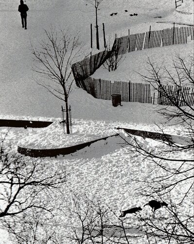 New York (Two Dogs Running in the Snow) par André Kertész, Photographie en vente sur Singulart