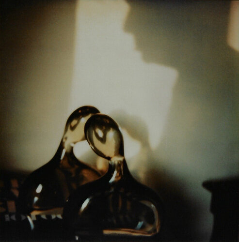 Plate 11, New York van André Kertész, Fotografie te koop op Singulart