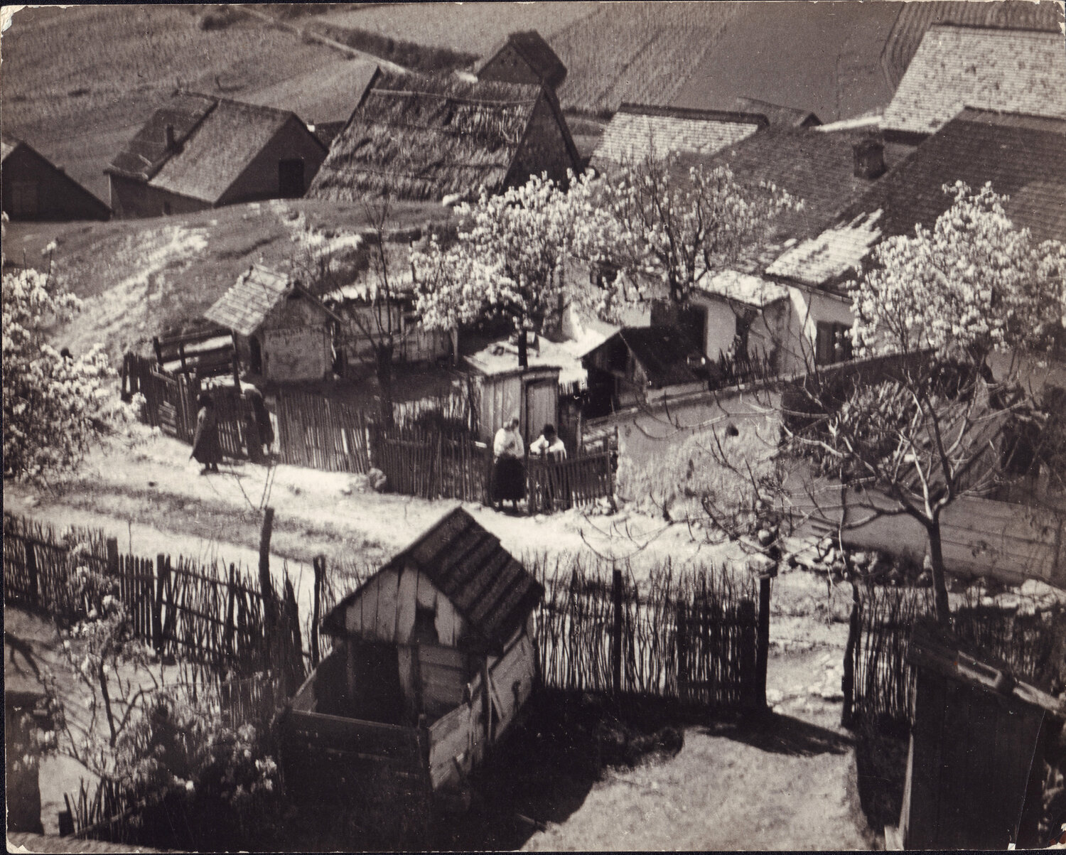 Hungarian village André Kertész Fotografia in vendita