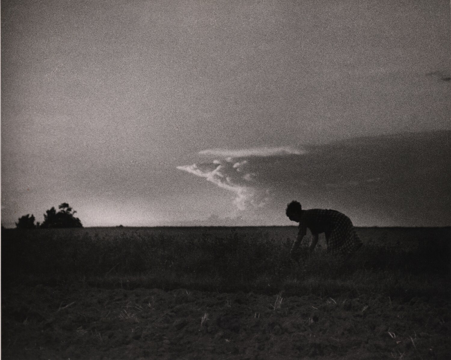 Pontoise André Kertész Photographie à vendre