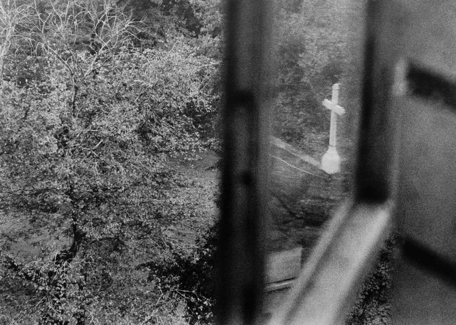 No. 7 André Kertész Photographie à vendre