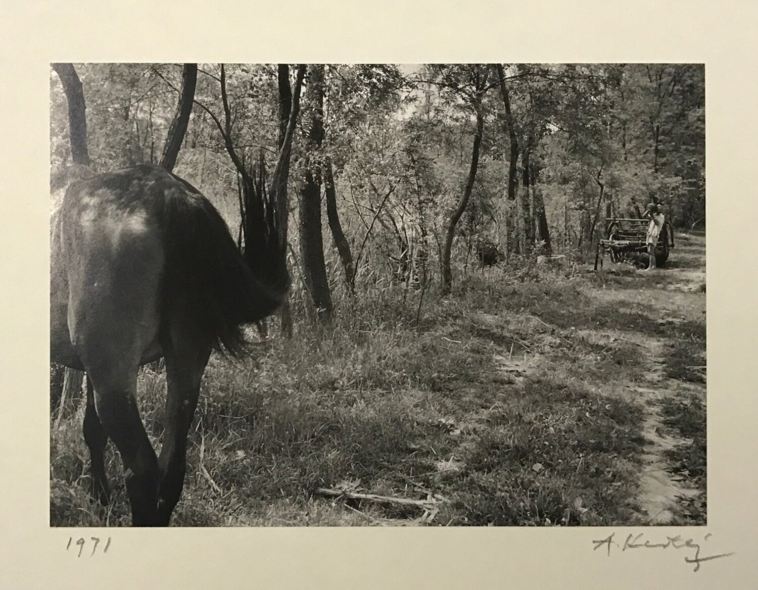 Untitled André Kertész Fotografie te koop