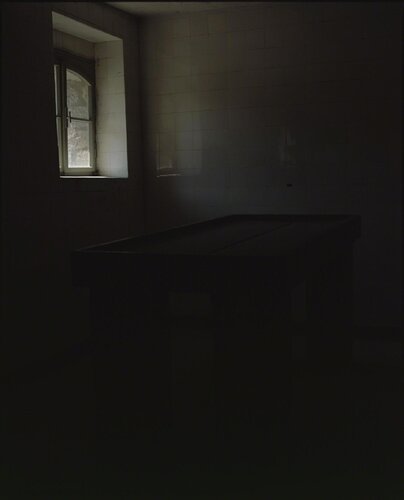 Autopsy Table, Buchenwald (Torture) van Andres Serrano, Fotografie te koop op Singulart