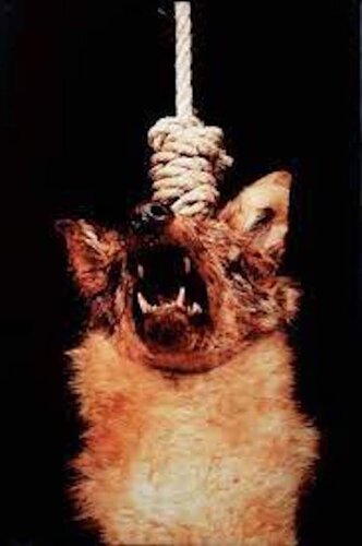 The Scream van Andres Serrano, Fotografie te koop op Singulart