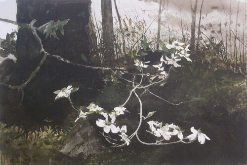 Dogwood #235 by Andrew Wyeth, Print for Sale on Singulart