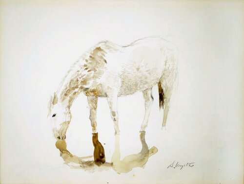 Study for Grey Ghost by Andrew Wyeth, Painting for Sale on Singulart