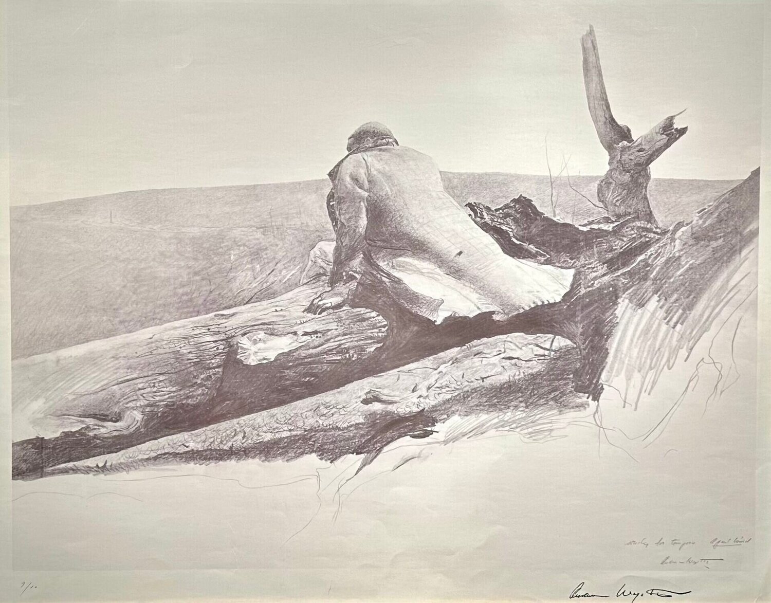 April Wind Study Andrew Wyeth