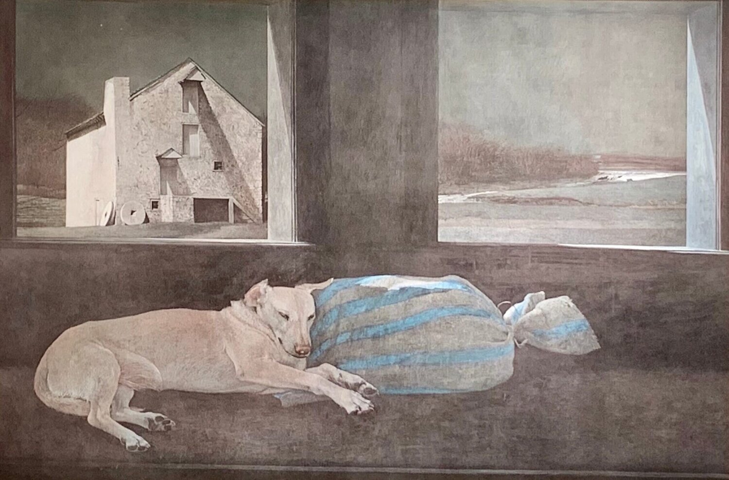 Night Sleeper Andrew Wyeth