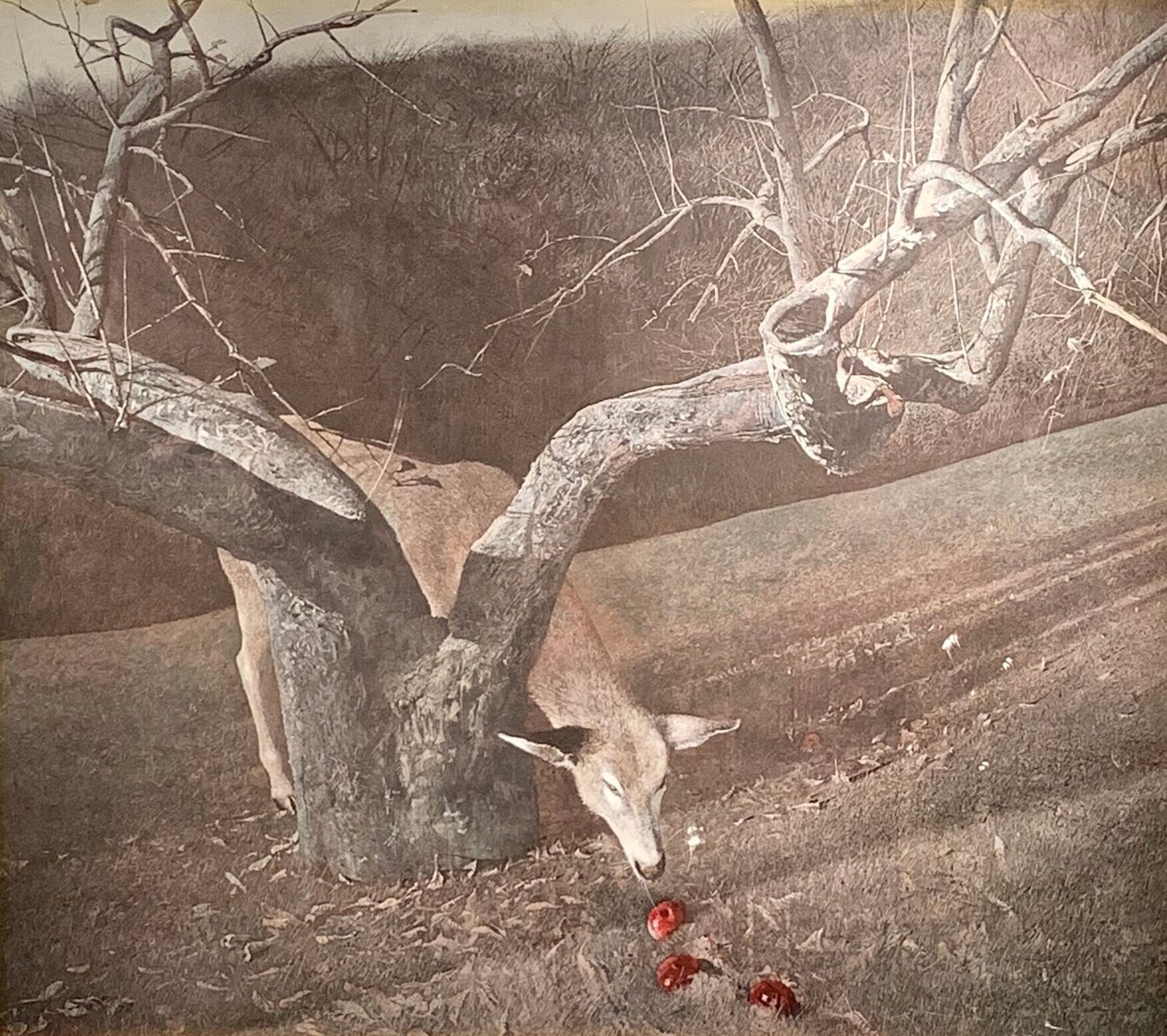 Jacklight Andrew Wyeth