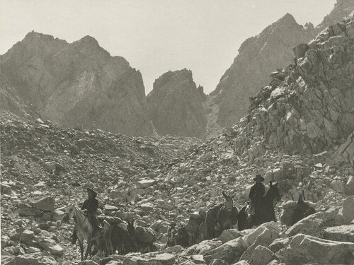 Down Bishop Pass, Sierra Nevada, California van Ansel Adams, Fotografie te koop op Singulart