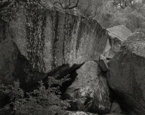 Fallen Rock, Yosemite van Ansel Adams, Fotografie te koop op Singulart