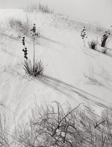 Dunes, Hazy Sun, White Sands National Monument, New Mexico van Ansel Adams, Fotografie te koop op Singulart