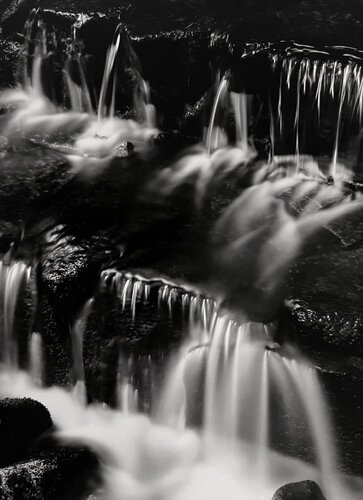 Fern Spring Dusk, Yosemite Valley CA van Ansel Adams, Fotografie te koop op Singulart