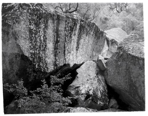 Fallen Rock, Yosemite van Ansel Adams, Fotografie te koop op Singulart